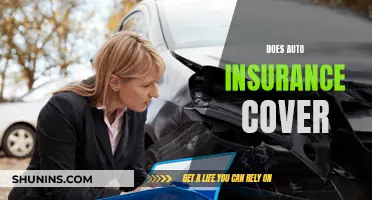 Auto Insurance Coverage: What's Included and What's Not