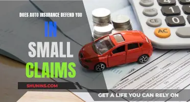 Auto Insurance and Small Claims: Understanding Your Defense Options