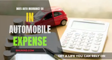 Auto Insurance: Automobile Expense or Extra?