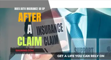 Auto Insurance Claims: The Costly Aftermath