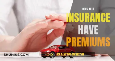 Auto Insurance Premiums: What You Need to Know