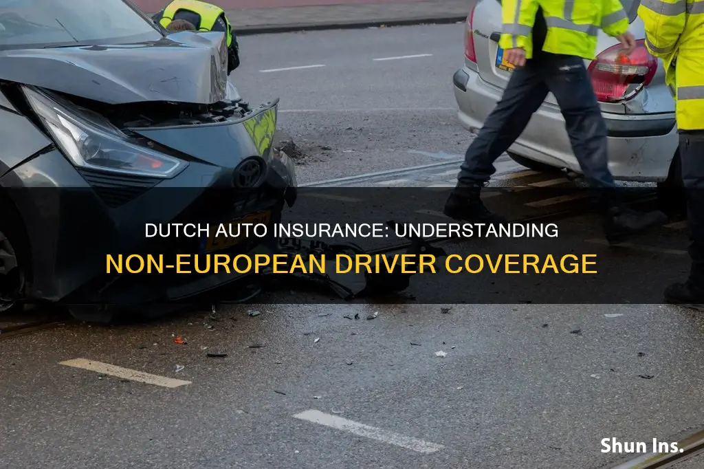 does auto insurance in the netherlands cover non-european drivers