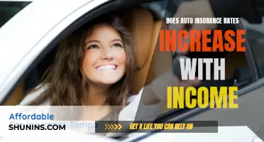 Income and Insurance: The Auto Insurance Rate Conundrum