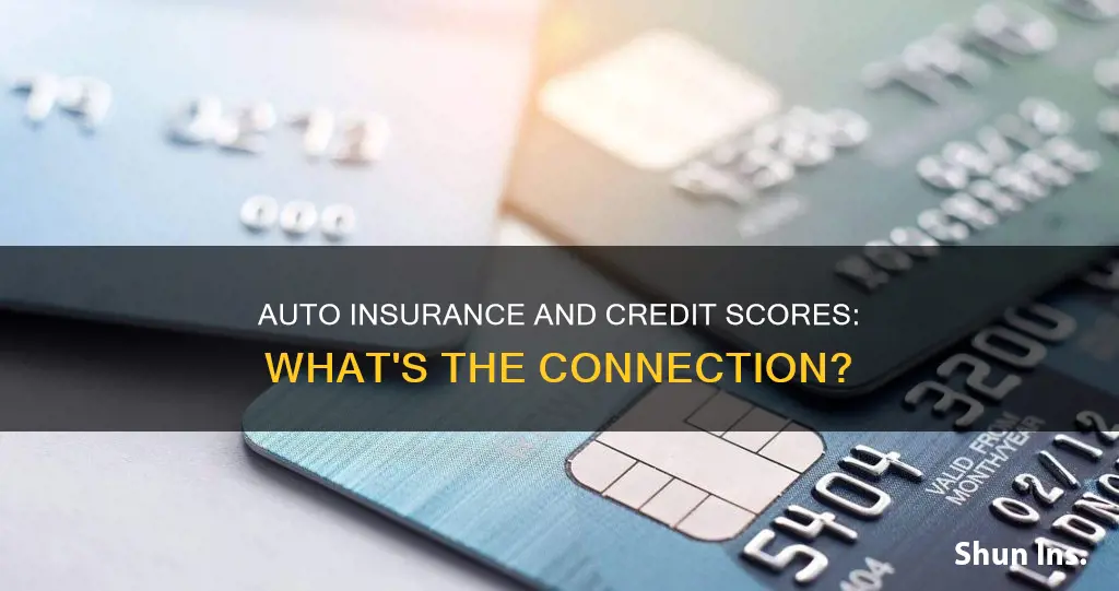 does auto insurance report to credit bureau