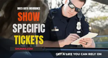 Traffic Tickets and Auto Insurance: What's the Real Cost?