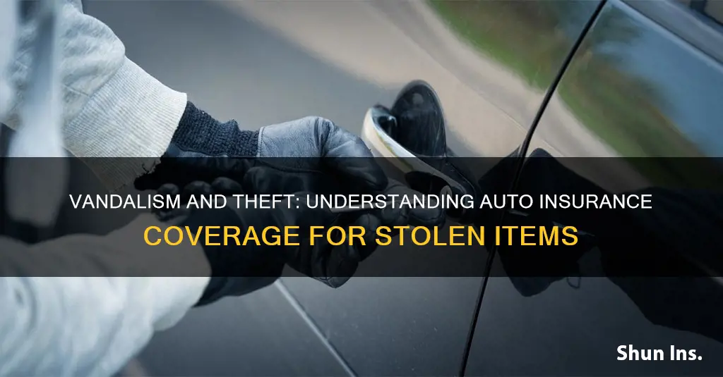 does auto insurance vandalism coverage include stolen items