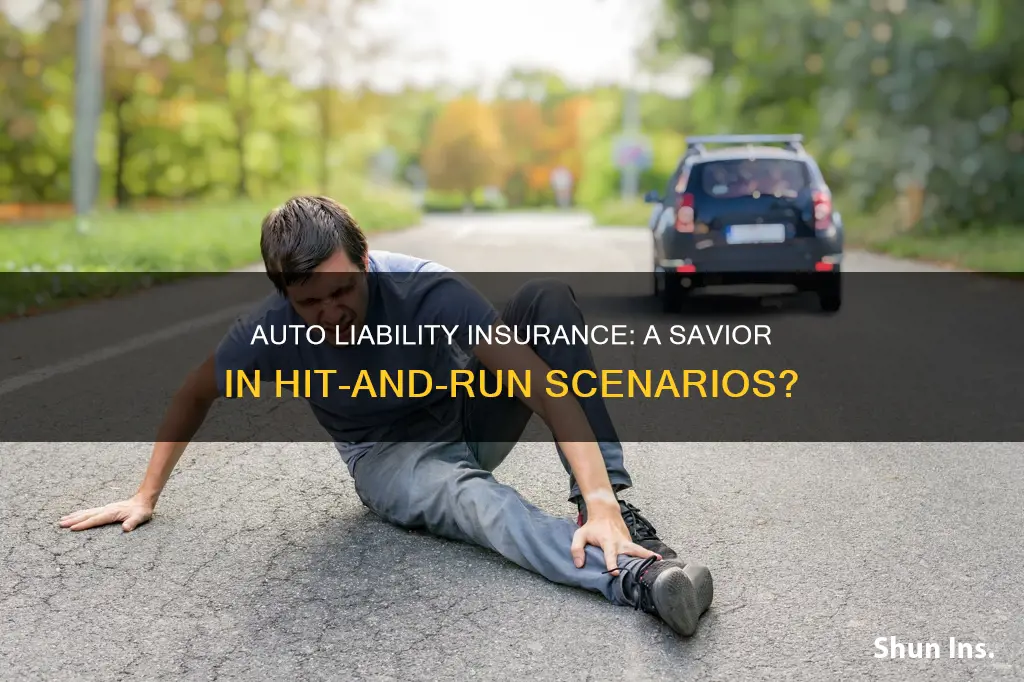 does auto liability insurance cover victim of hit and run