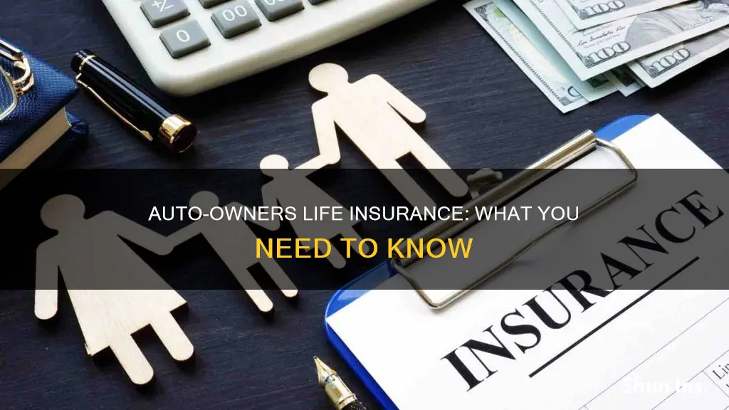 does auto owners carry life insurance