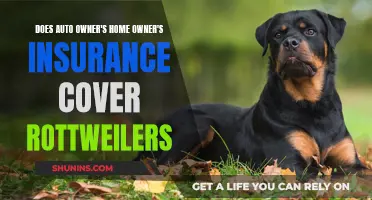 Rottweilers and Insurance: Understanding Auto and Homeowner's Policies