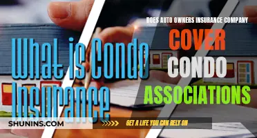 Auto-Owners Insurance: Condo Association Coverage and Claims