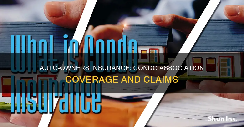 does auto owners insurance company cover condo associations