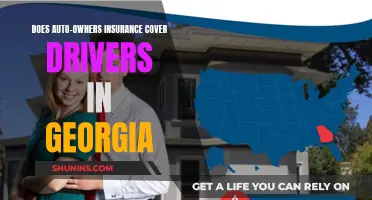 Auto-Owners Insurance: What Georgia Drivers Need to Know