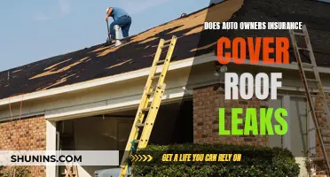 Auto Owners Insurance: What You Need to Know About Roof Leak Coverage