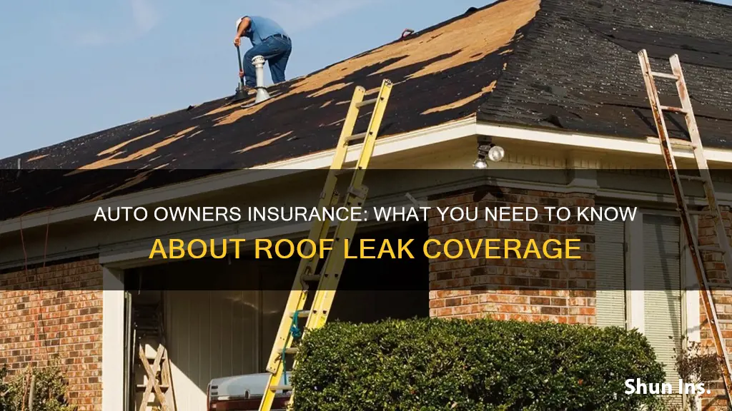 does auto owners insurance cover roof leaks