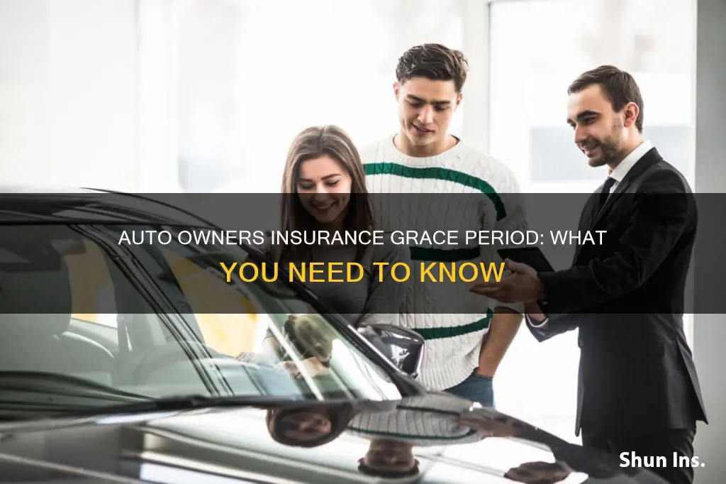 does auto owners insurance have a grace period