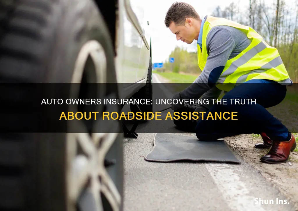 does auto owners insurance have roadside assistance