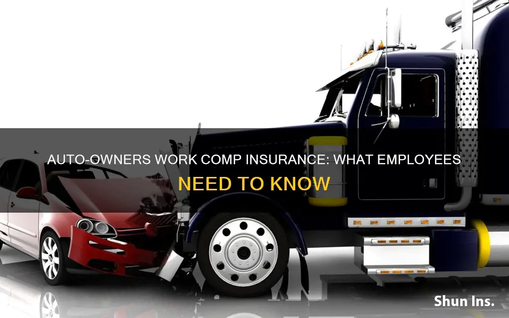 does auto owners provide work comp insurance