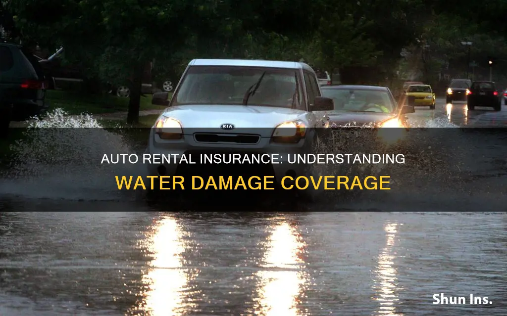 does auto rental insurance cover water damage