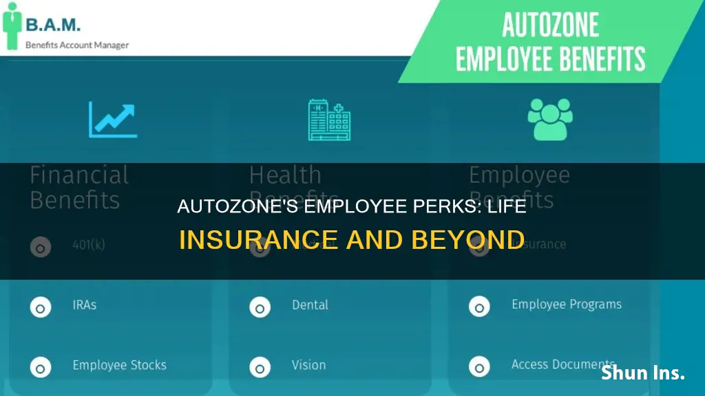 does auto zone offer life insurance