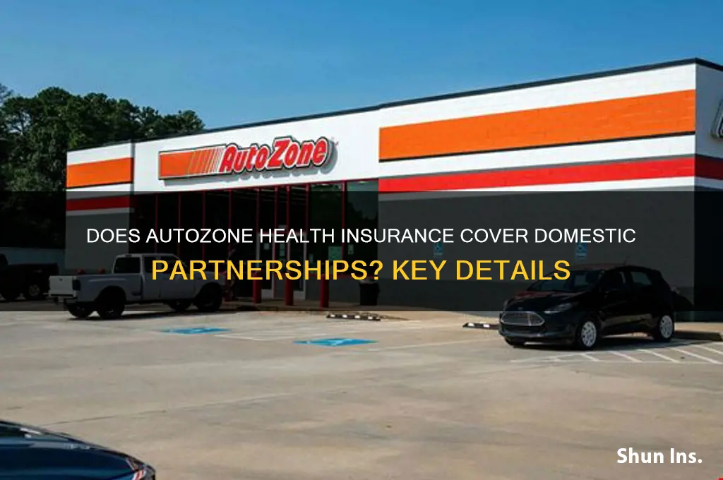 does autozone health insurance llow dometic partnerships
