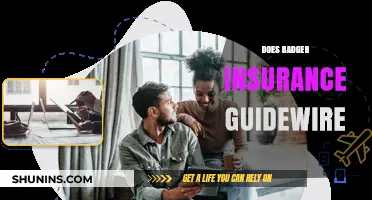 Badger Insurance Guidewire Integration: Benefits, Challenges, and Implementation Insights