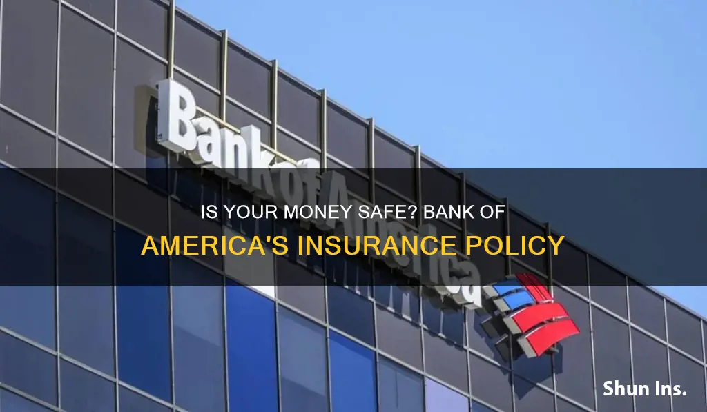 does bank of america insure your money