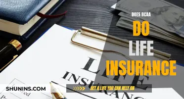 BCAA Life Insurance: What You Need to Know