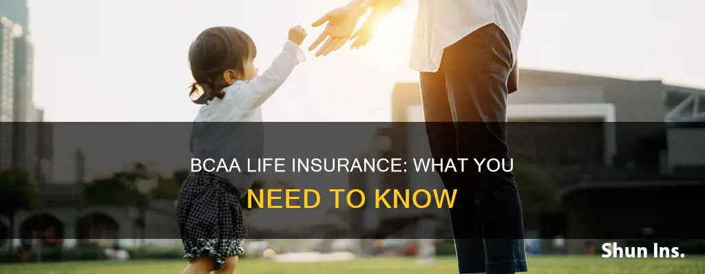 does bcaa do life insurance