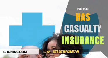 Does BCBS Offer Casualty Insurance? Understanding Coverage Options