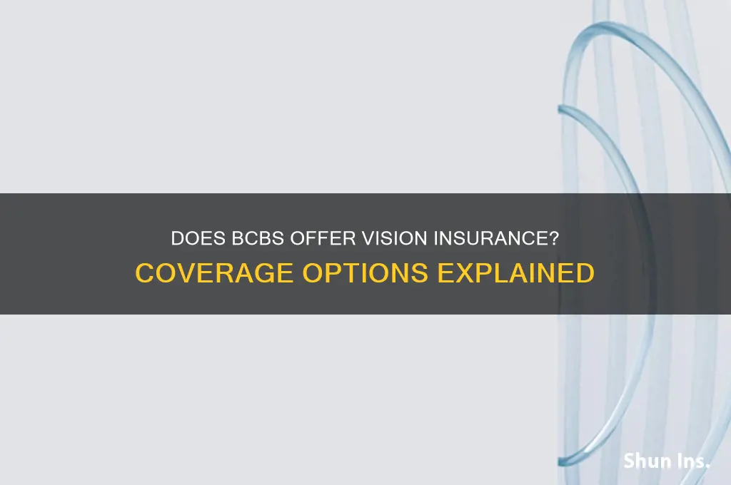 does bcbs have vision insurance