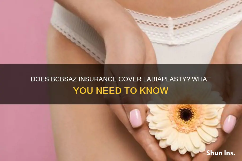 does bcbsaz insurance labiaplasty