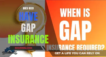 BECU: Gap Insurance Options