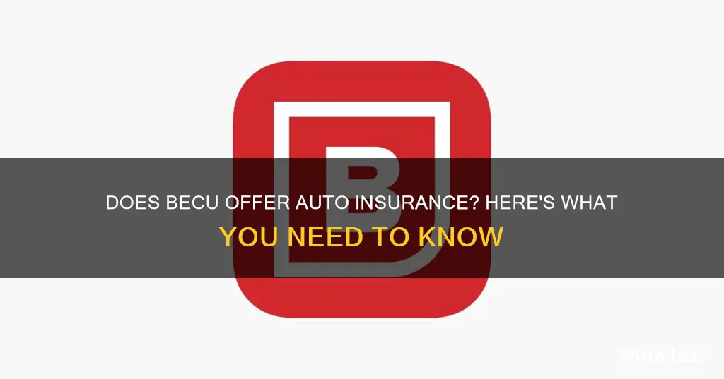 does becu offer auto insurence