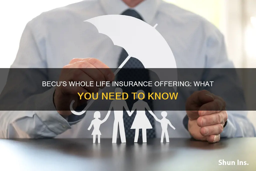 does becu offer whole life insurance