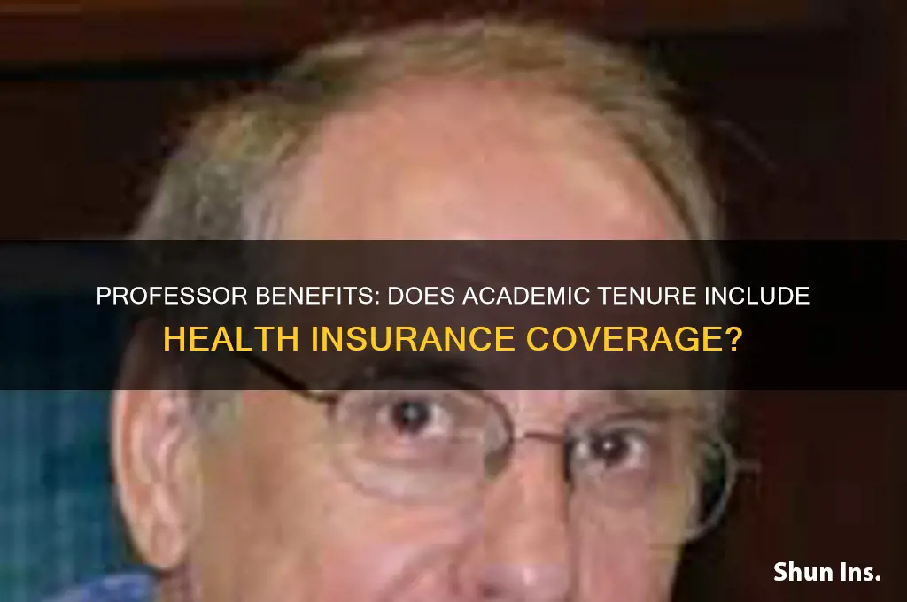 does being a professor give insurance