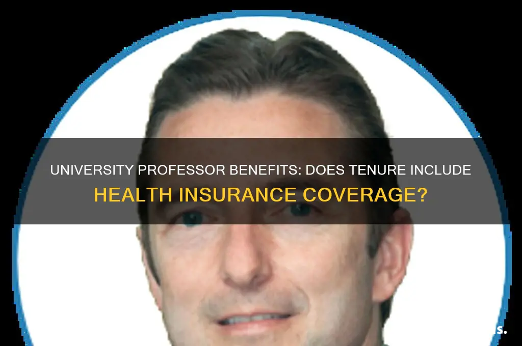does being auniversity professor give insurance