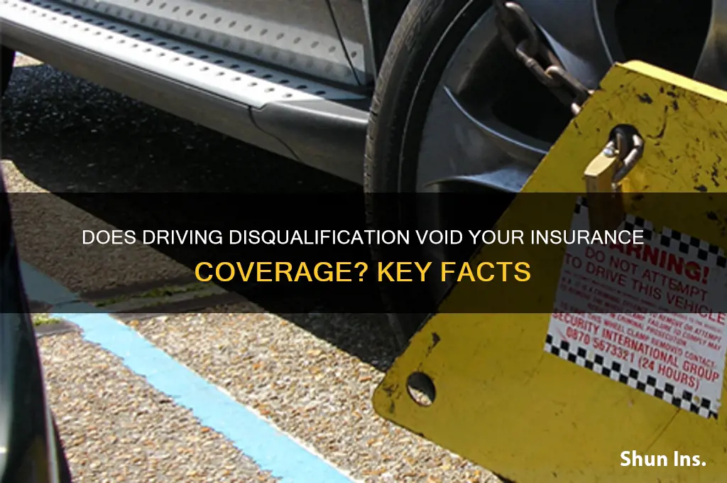 does being disqualified from driving invalidate insurance
