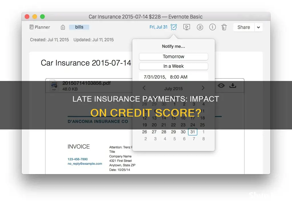 does being late on a insurance payment effect credit score