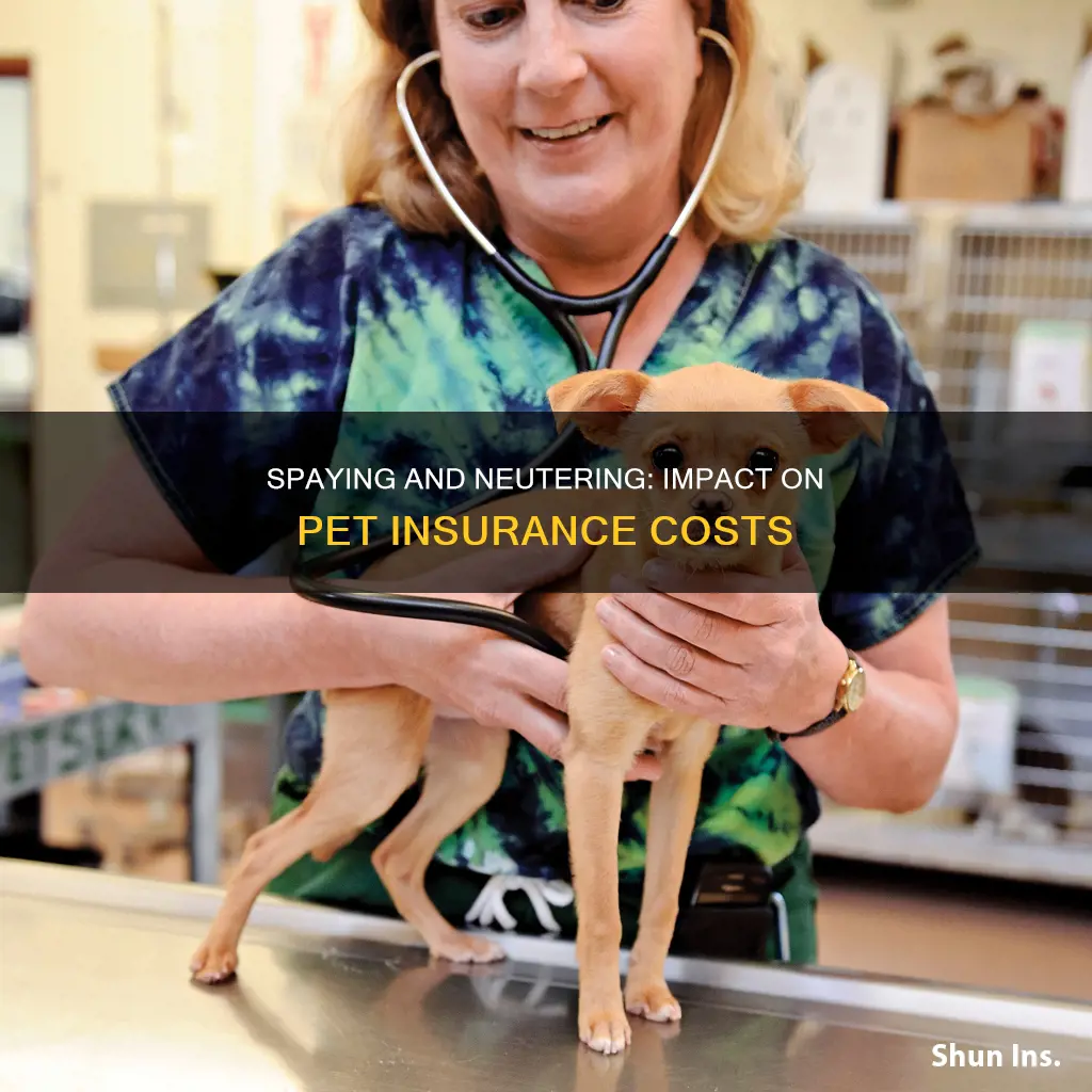 does being spayed or nuetred affect pet insurance rates