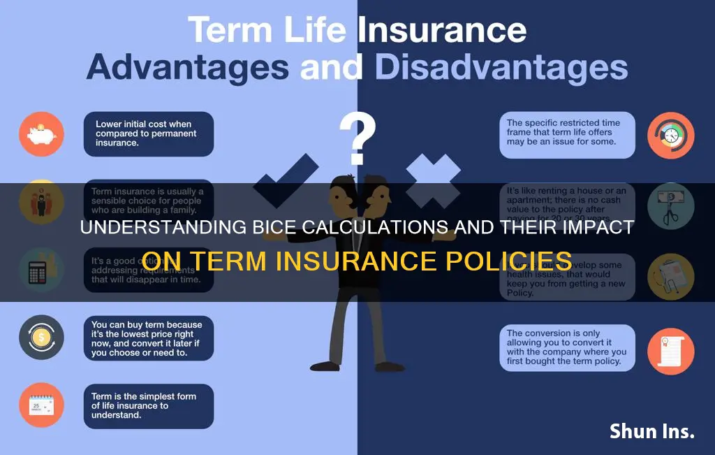 does bice apply to term insurance