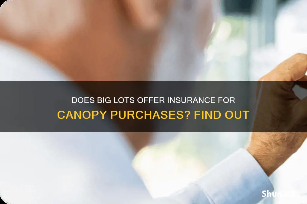 does biglots have insurance on canopy