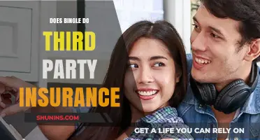 Does Bingle Offer Third-Party Insurance? A Comprehensive Guide