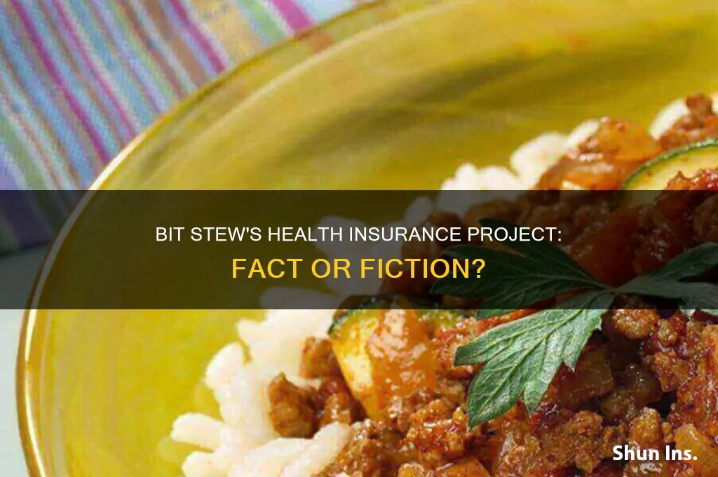 does bit stew has an health insurance project
