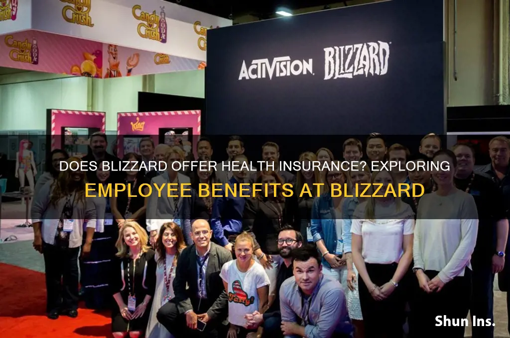 does blizzard have health insurance
