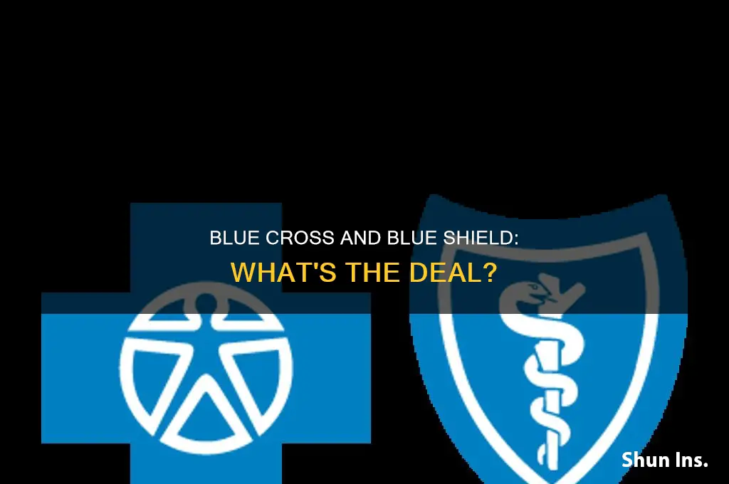 does blue cross and blue shield