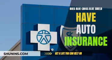 Blue Cross Blue Shield: Auto Insurance Options