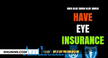 Does Blue Cross Blue Shield Cover Vision Insurance?