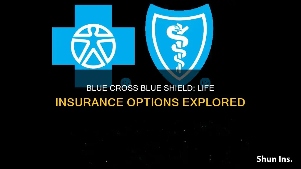 does blue cross blue shield have life insurance