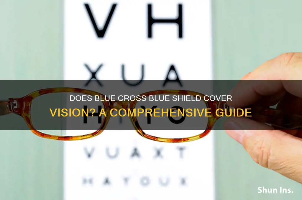 does blue cross blue shield health insurance cover vision