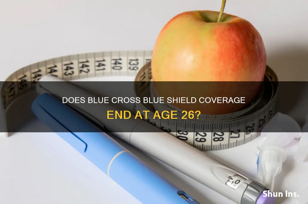 does blue cross blue shield health insurance expire at 26